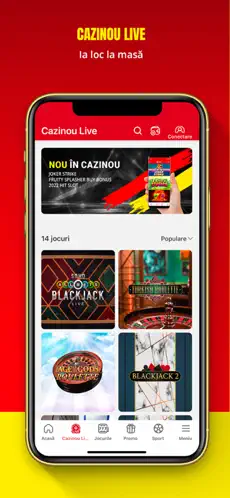Screenshot Casa Pariurilor Casino 5