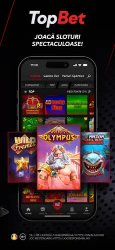 Screenshot TopBet Casino 4